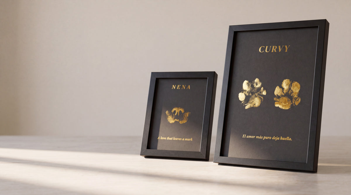 Dos láminas PETJA enmarcadas en negro sobre una mesa clara: una pequeña con la huella de un gato y otra grande con dos huellas de perro, ambas en foil dorado sobre papel negro