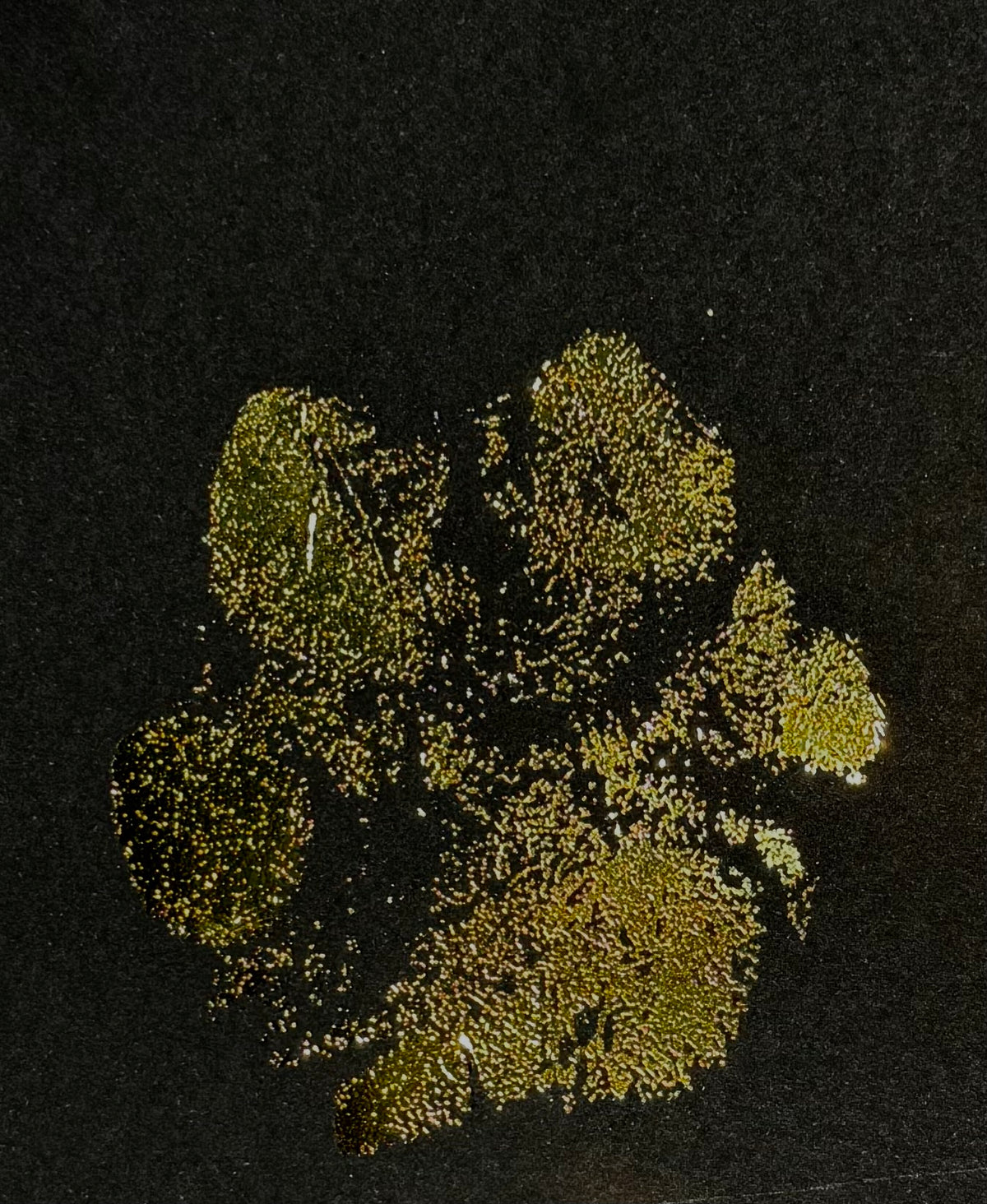 Detalle en primer plano de una huella real de perro reproducida en foil dorado sobre papel de 180 g, con los surcos de la almohadilla visibles