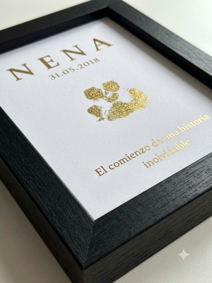 PETJA — Un record per sempre
